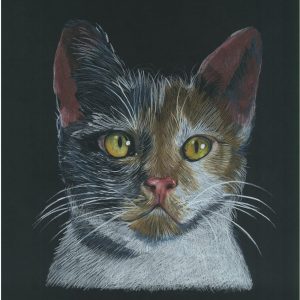 Kit da disegno acquerello The Aquarino box – CRETACOLOR - 1