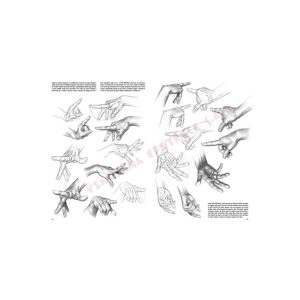 03 – Le Basi del Disegno Vol. III – Collana Leonardo - 4