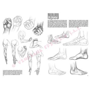 03 – Le Basi del Disegno Vol. III – Collana Leonardo - 1