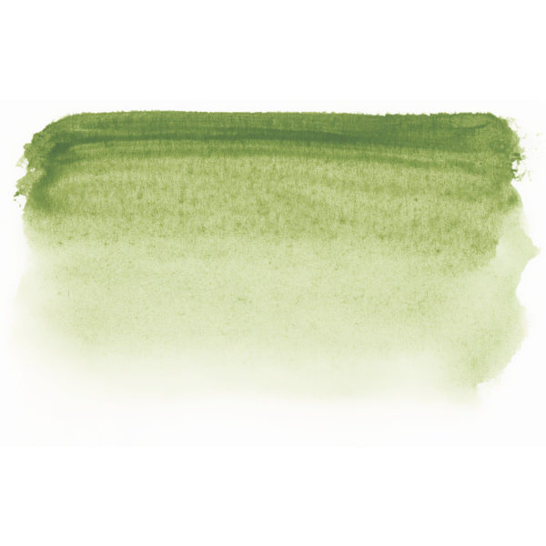 Variante colore 213 Terra Verde S1