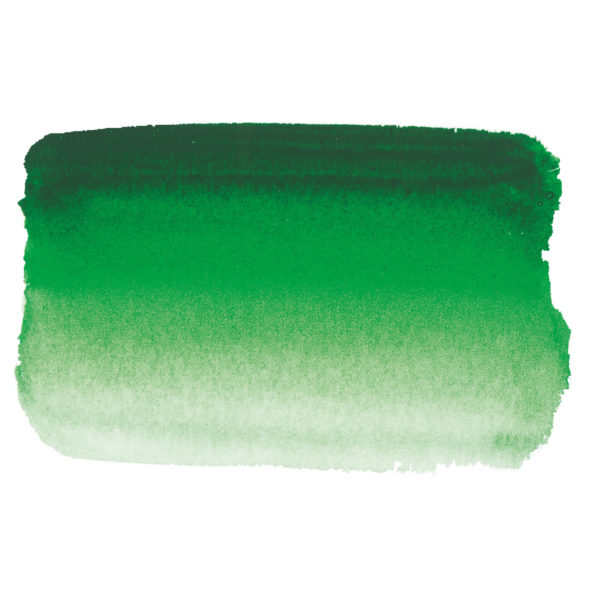 Variante colore 809 Verde Di Hooker S1