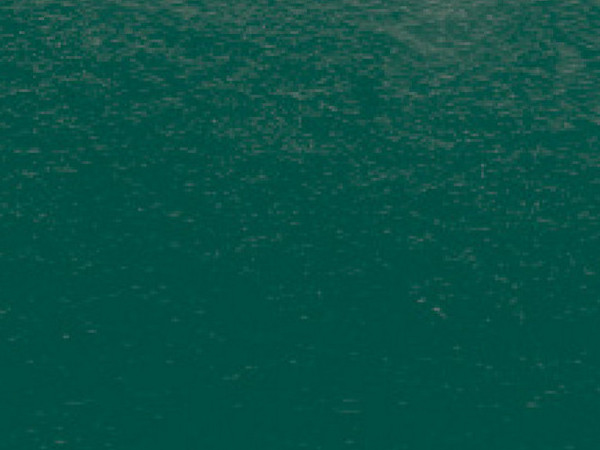 Variante colore Verde Foresta - 899