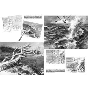 15 – Paesaggi – Collana Leonardo - 3