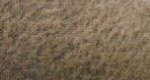 Variante colore Grigio francese 808