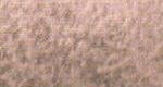 Variante colore Seppia 10% 902