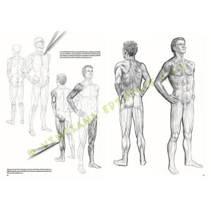 10 – Nudi – Collana Leonardo - 2