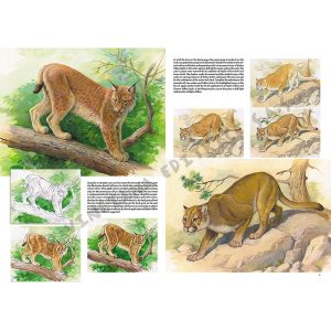 12 – Animali – Collana Leonardo - 1