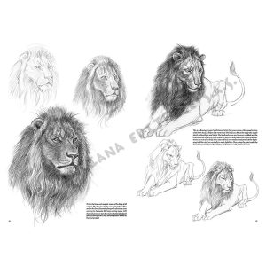 12 – Animali – Collana Leonardo - 3