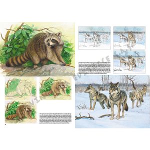 12 – Animali – Collana Leonardo - 4