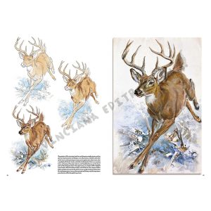 13 – Animali – Collana Leonardo - 2