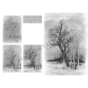 19 – Paesaggi – Collana Leonardo - 6