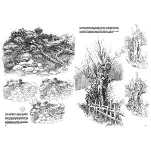 19 – Paesaggi – Collana Leonardo - 8