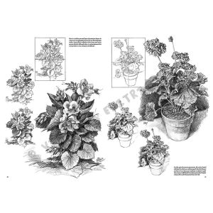 21 – Fiori – Collana Leonardo - 2