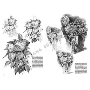 22 – Fiori – Collana Leonardo - 4