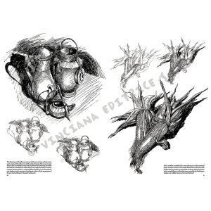 24 – Nature morte – Collana Leonardo - 3