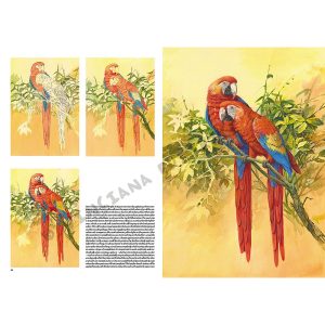 28 – Gli Uccelli – Collana Leonardo - 1