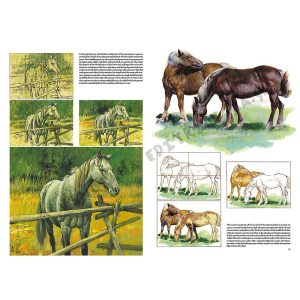 06 – Cavalli – Collana Leonardo - 4