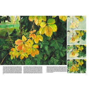 45 – Manuale di disegno – Alberi e Foglie