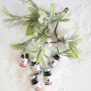 Confezione Inchiostri per stilografiche – 5 x 10 ml – “Set Inverno” HERBIN - 2