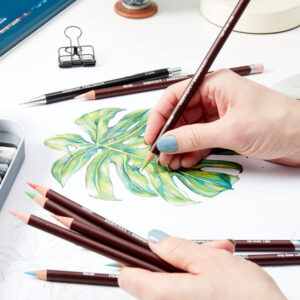 Matite colorate Coloursoft – set da 12/24 – DERWENT