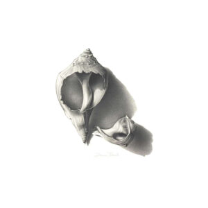 Set matite da disegno DERWENT Graphic – Precisione e qualità professionale