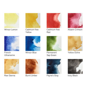 Set Acquerelli Winsor & Newton Professional Watercolor 12 mezzi godet Black Box - 1