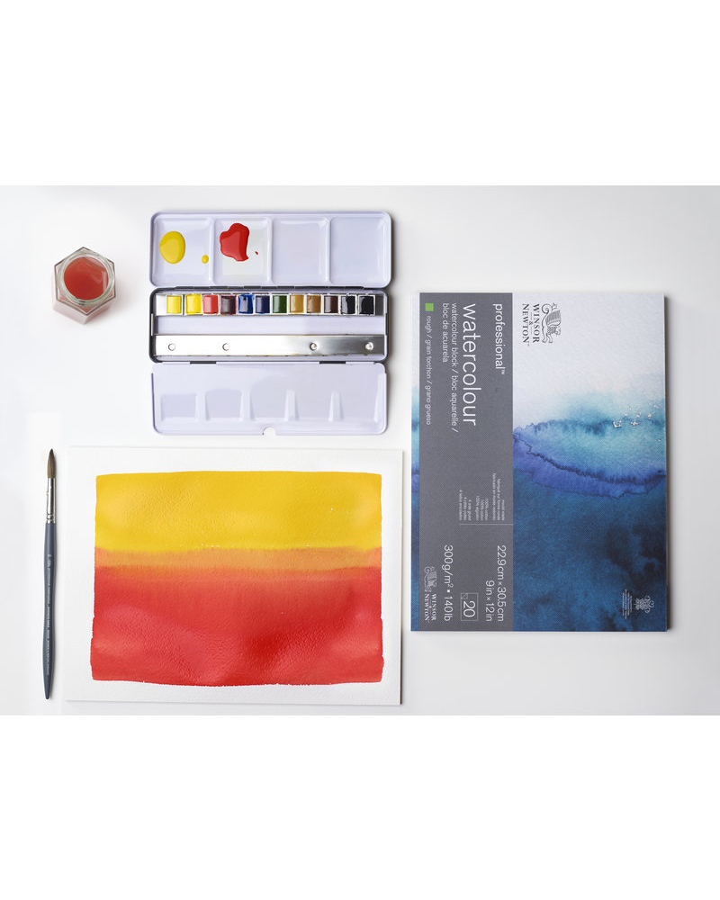 Set Acquerelli Winsor & Newton Professional Watercolor 12 mezzi godet Black Box - 2