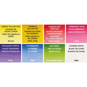 Set Acquerelli Winsor & Newton Cotman – Pittura Floreale - 1
