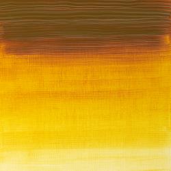 Variante colore 320 Giallo indiano scuro S2