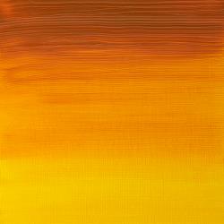 Variante colore 319 Giallo indiano S2