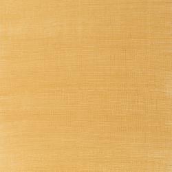 Variante colore 283 Oro S2