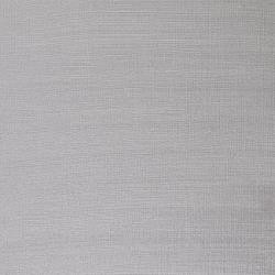 Variante colore 617 Argento S2