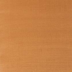 Variante colore 573 Oro rinascimento S2