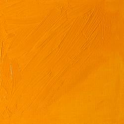 Variante colore 731 Giallo Winsor scuro S2