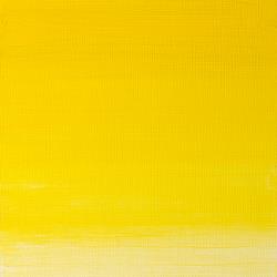 Variante colore 730 Giallo Winsor S2