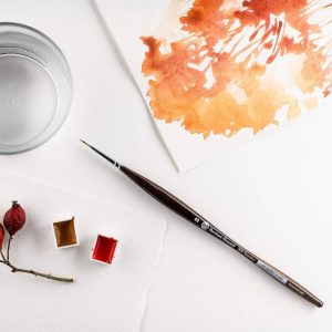 Borciani e Bonazzi Pennelli a Punta Tonda: Unico Mangusta Serie 800 - 4