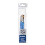 Set da 4 Pennelli Winsor & Newton Cotman per Acquerello