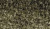 Variante colore Leaf Green 1831