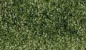Variante colore Light Olive 1802