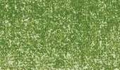Variante colore Olivine 1801
