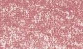 Variante colore Turkish Delight 0640