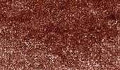 Variante colore Willow 2003