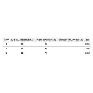 Borciani e Bonazzi Pennelli a Ventaglio – Serie 904 - 1