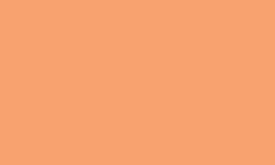 Variante colore Pantone - 1485