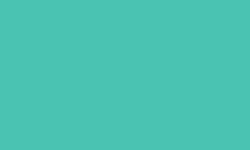 Variante colore Pantone - 333