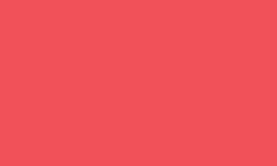 Variante colore Pantone - Red 032