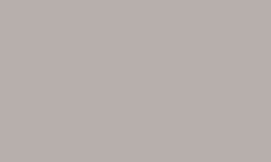 Variante colore Pantone - Warm Grey 2