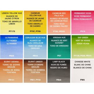 Acquerelli Cotman Winsor & Newton Field Plus Set da Viaggio - 2