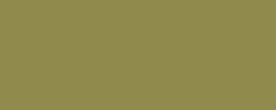 Variante colore Olive Green - Y724