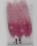 Variante colore 15 Rosa